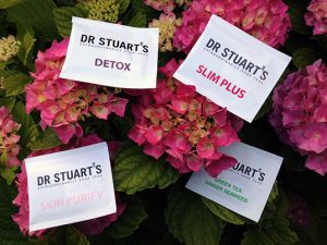 dr-stuarts