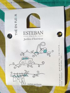 esteban-jardins-dinterieur